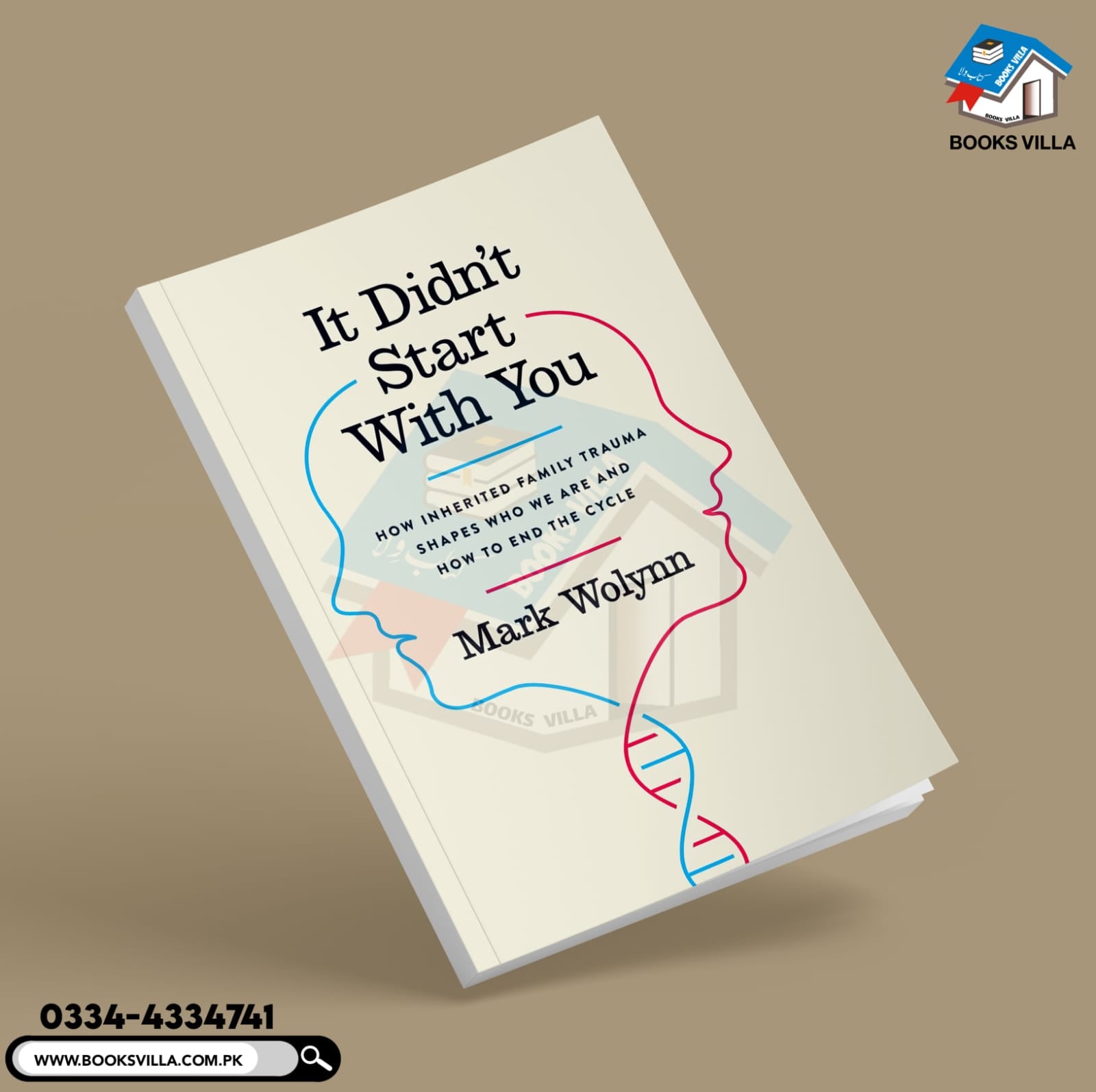 It Didn't Start With You Book Summary