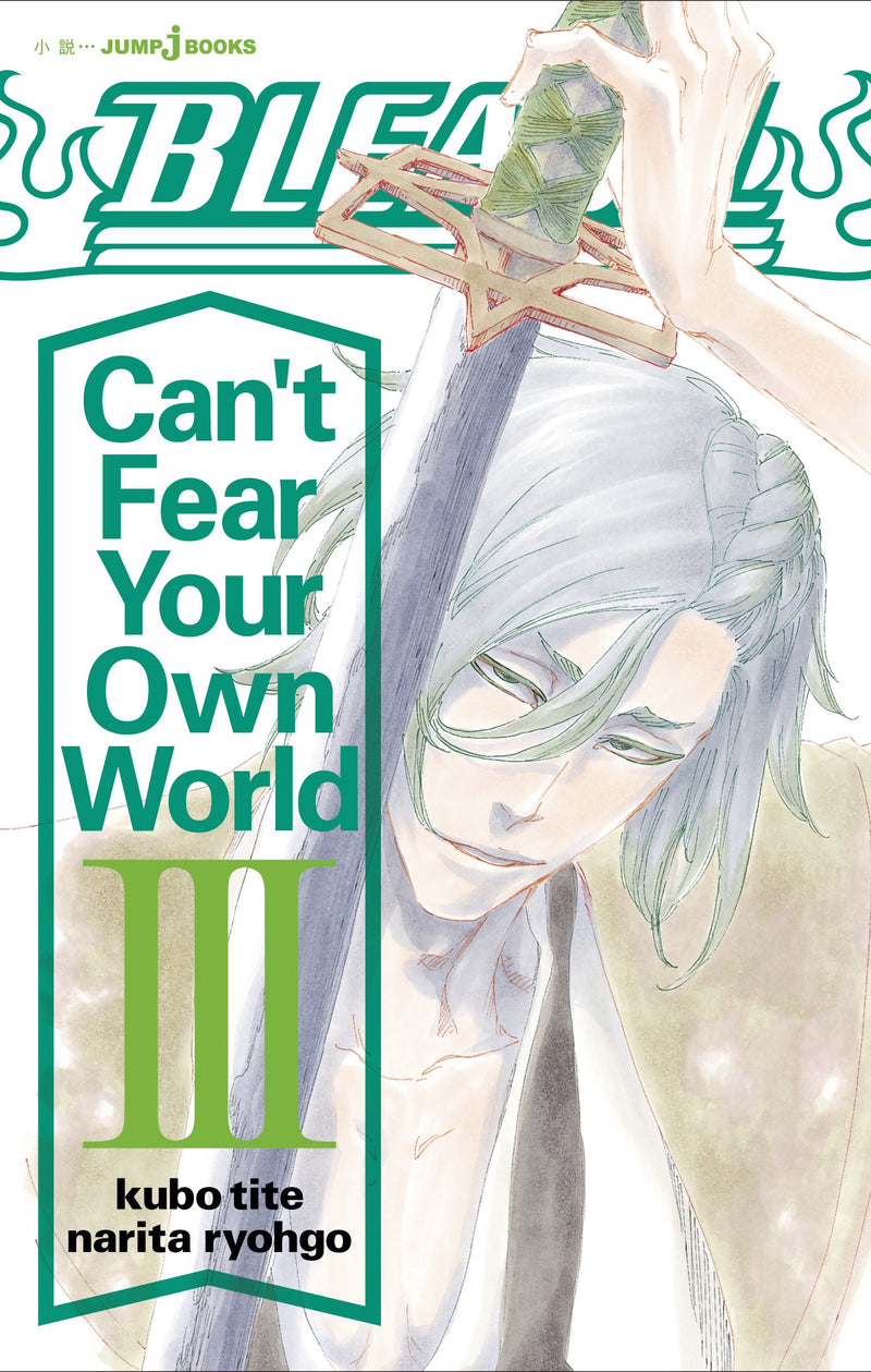 Bleach: Can't Fear Your Own World, Vol. 3 (3) light Novel