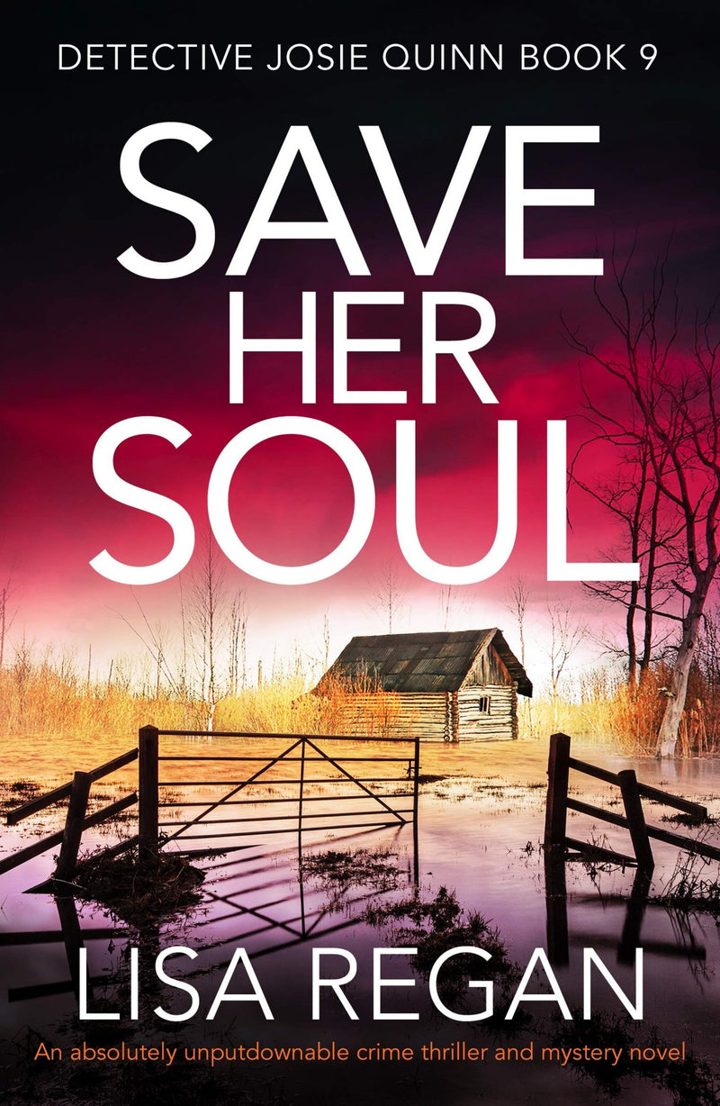Save Her Soul: An absolutely unputdownable crime thriller