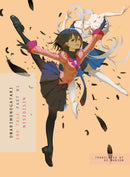 Volume 17: Owarimonogatari, Part 1: End Tale