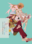 Volume 18: Owarimonogatari, Part 2: End Tale