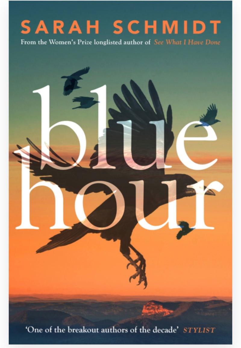 Blue Hour : Novel