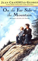 on the far side of the mountain | Mountain series