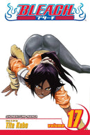 Bleach  Volume 17 | Manga Books