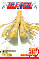 Bleach  Volume 36 | Manga Books