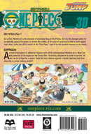 One Piece Volume 30 | Manga Books