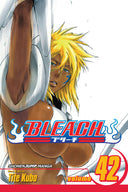 Bleach  Volume 42 | Manga Books