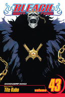 Bleach  Volume 43 | Manga Books