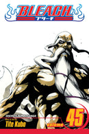 Bleach  Volume 45 | Manga Books