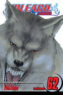 Bleach  Volume 62 | Manga Books