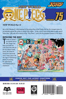 One Piece Volume 75 | Manga Books