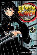 Demon Slayer: Kimetsu no Yaiba Volume 12 | Manga Books