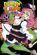 Demon Slayer: Kimetsu no Yaiba Volume 14 | Manga Books