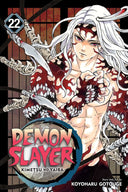Demon Slayer: Kimetsu no Yaiba Volume 22 | Manga Books