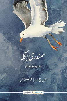 Samundri Bugla | سمندری بگلا  |The Seagull