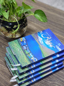 BEY RABT BATAIN | بے ربط باتیں | BOOKSVILLA PUBLICATION