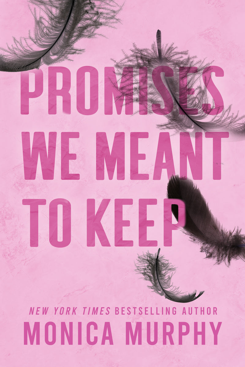 Promises We Meant to Keep | Lancaster Prep Series Book 3