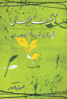AAENA-E-JAHAN (3) - NOVELET | آئینہ جہاں : کلیات قراۃ العین حیدر