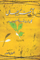 AAYENA-E-JAHAAN (2) - AFSANAY | آئینہ جہاں - افسانے (دوم)