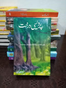 PARDESI DARAKHT | پردیسی درخت